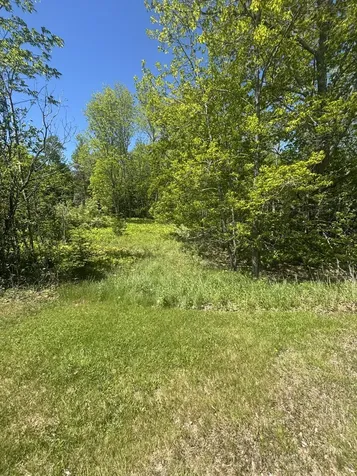 954 Cape Rosier Road Brooksville ME 04642