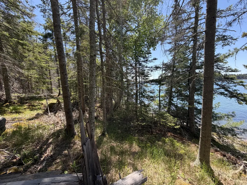 Lot 27 Breezy Bay Road Bar Harbor ME 04609