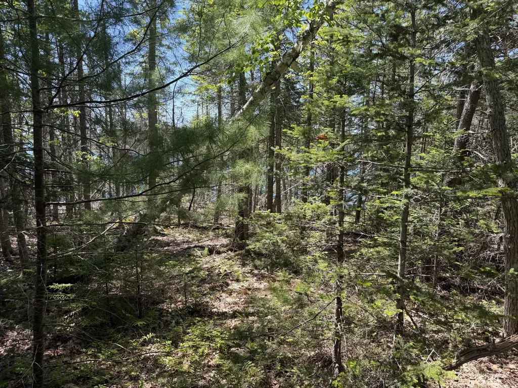 Lot 27 Breezy Bay Road Bar Harbor ME 04609