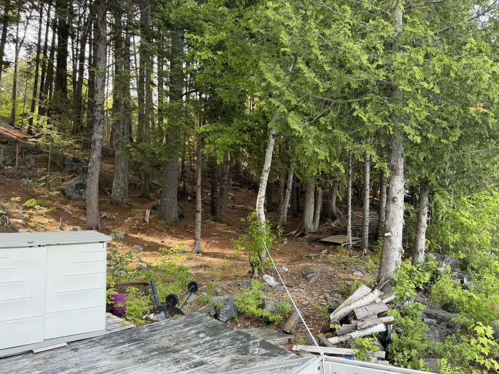 102 Upper Lead Mountain Pond Road T22 Md ME 04408