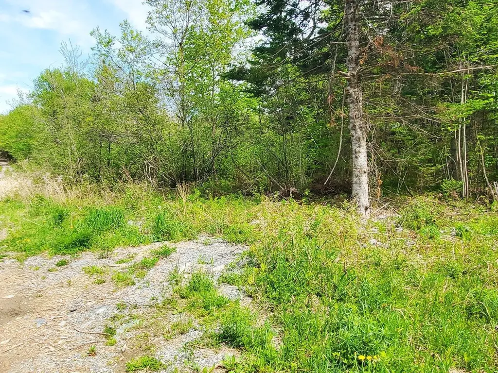 Lot 6 Pleasent Pond Road Atkinson ME 04426