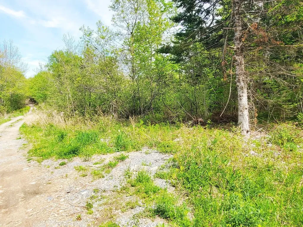 Lot 6 Pleasent Pond Road Atkinson ME 04426