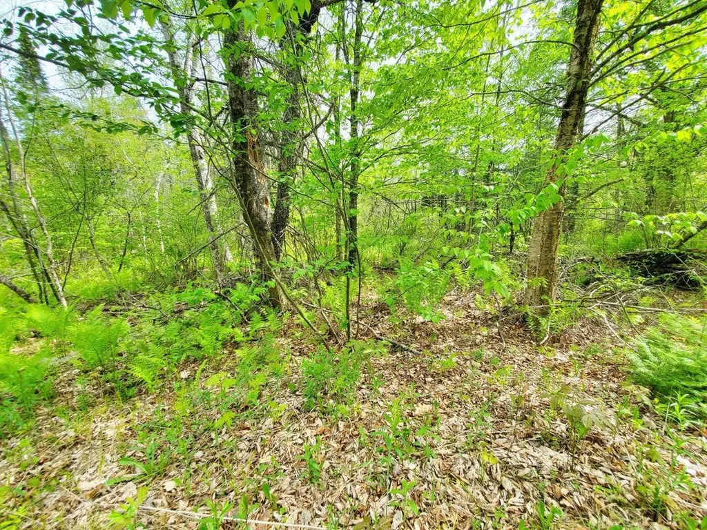 Lot 6 Pleasent Pond Road Atkinson ME 04426