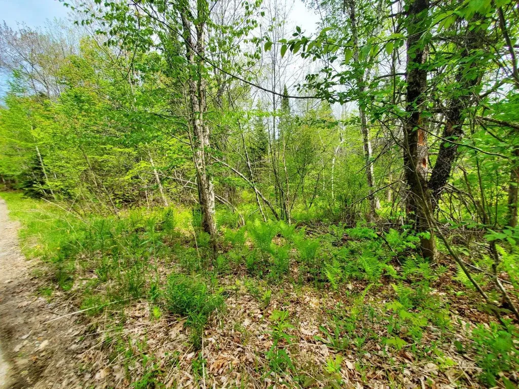 Lot 6 Pleasent Pond Road Atkinson ME 04426
