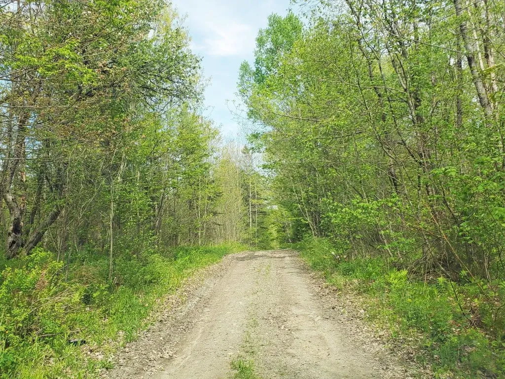Lot 6 Pleasent Pond Road Atkinson ME 04426