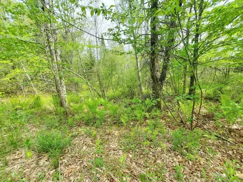 Lot 6 Pleasent Pond Road Atkinson ME 04426