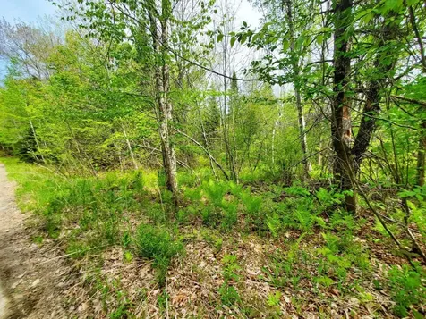 Lot 6 Pleasent Pond Road Atkinson ME 04426