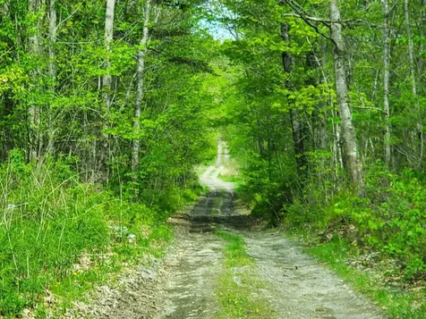 Lot 6 Pleasent Pond Road Atkinson ME 04426