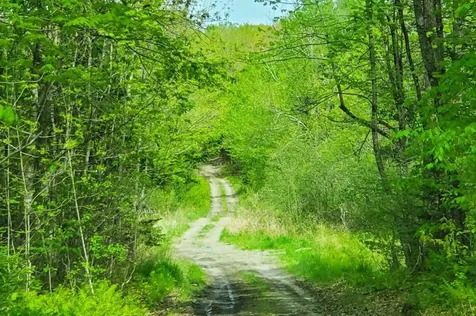Lot 6 Pleasent Pond Road Atkinson ME 04426