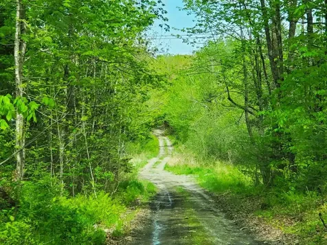 Lot 6 Pleasent Pond Road Atkinson ME 04426