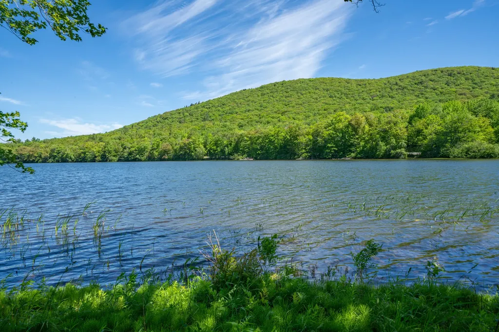 21 Rosenberg Road Lincolnville ME 04849