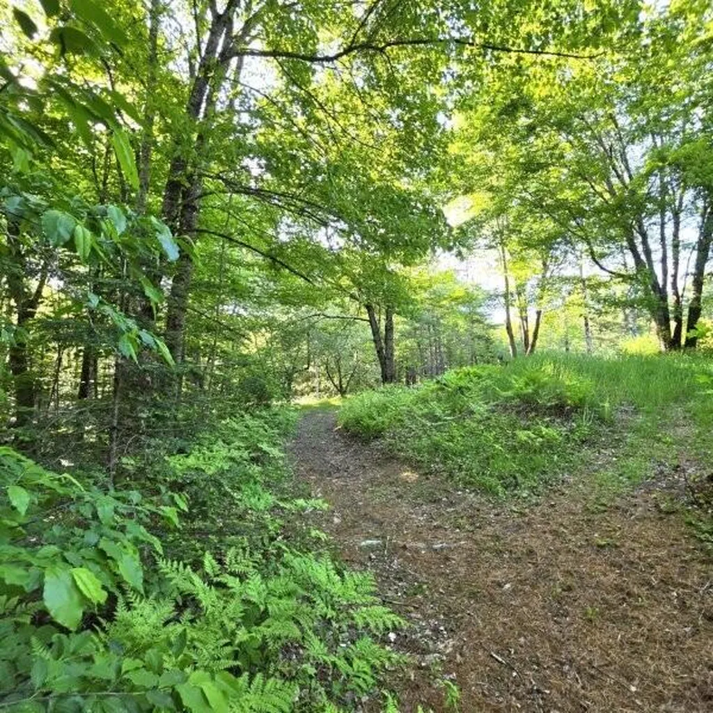 515 Dodlin Road Enfield ME 04493