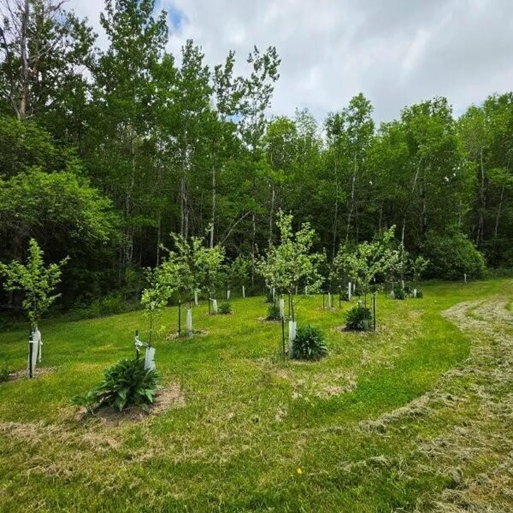 515 Dodlin Road Enfield ME 04493
