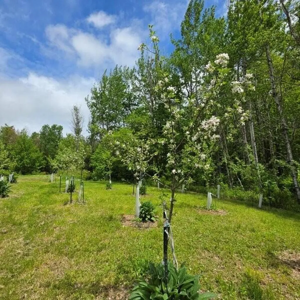 515 Dodlin Road Enfield ME 04493