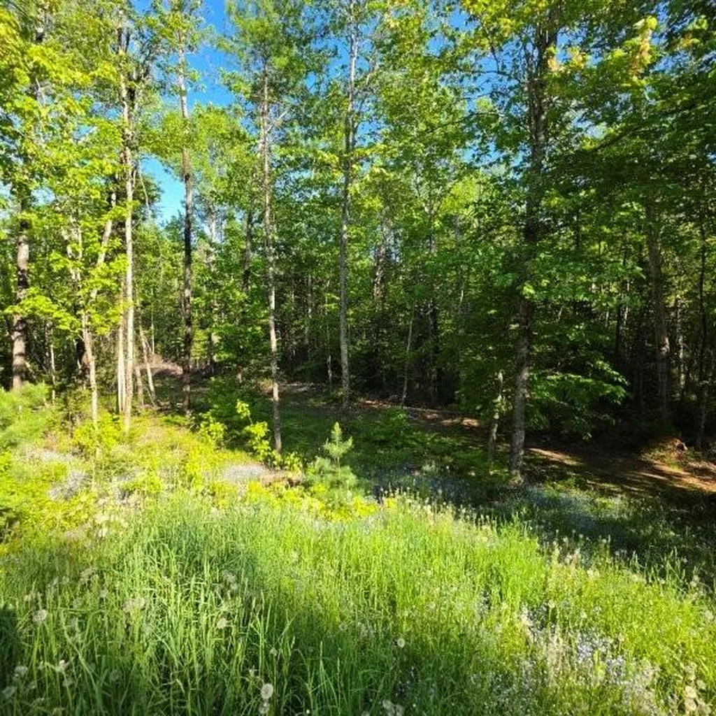 515 Dodlin Road Enfield ME 04493