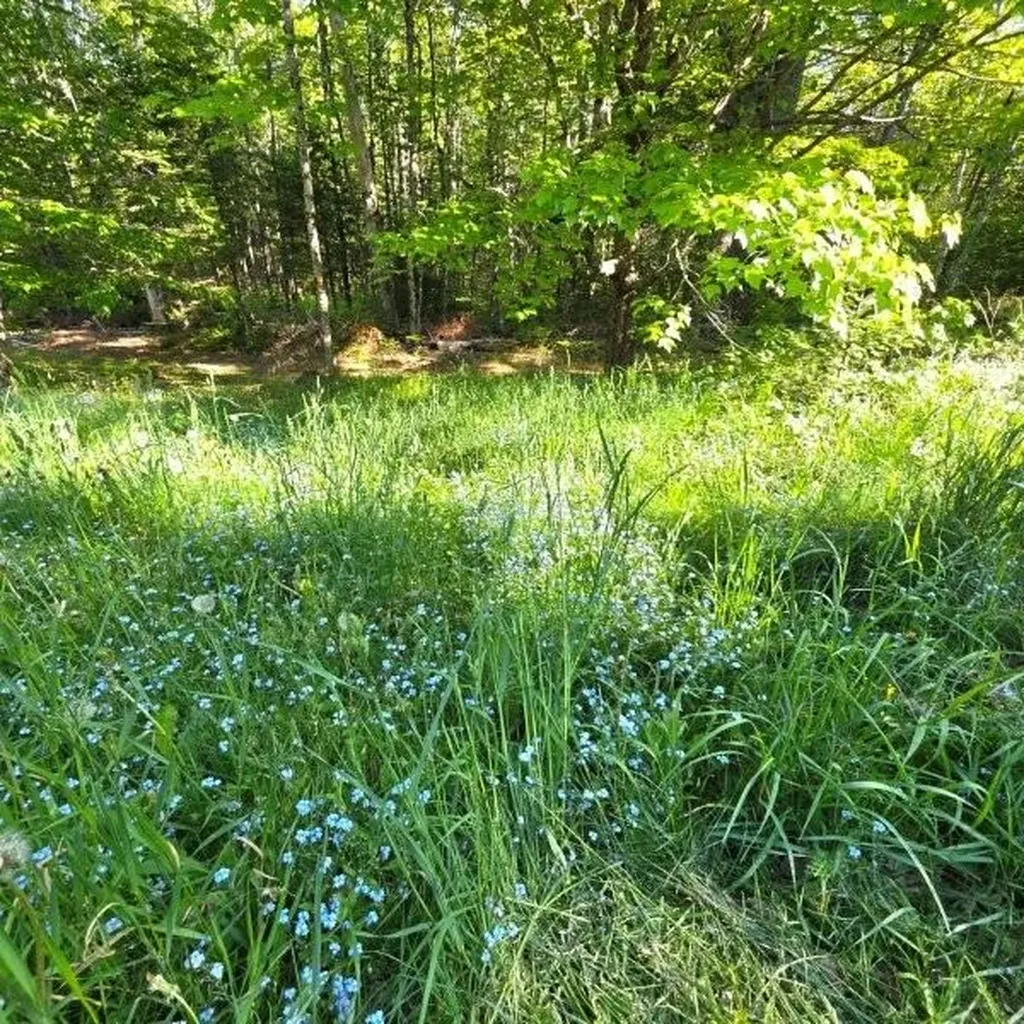 515 Dodlin Road Enfield ME 04493