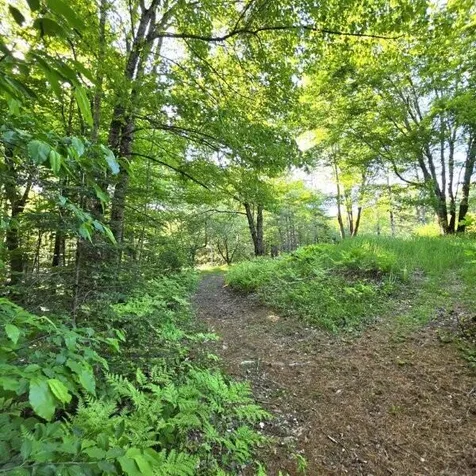 515 Dodlin Road Enfield ME 04493
