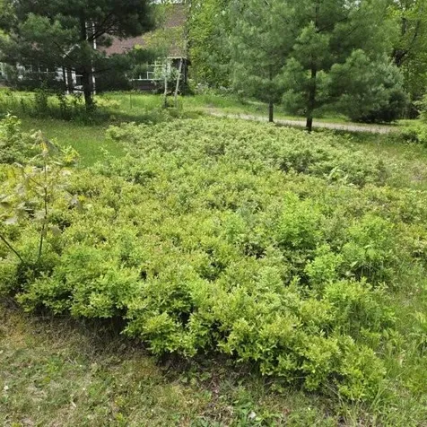 515 Dodlin Road Enfield ME 04493