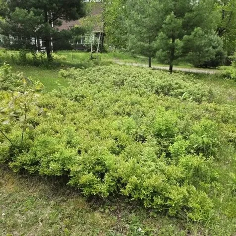 515 Dodlin Road Enfield ME 04493