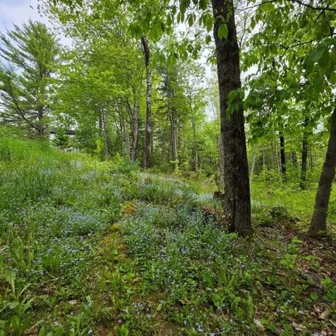 515 Dodlin Road Enfield ME 04493