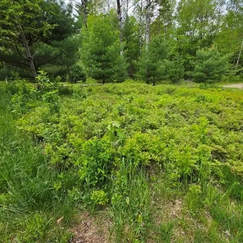 515 Dodlin Road Enfield ME 04493