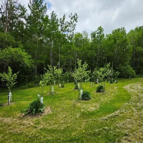 515 Dodlin Road Enfield ME 04493