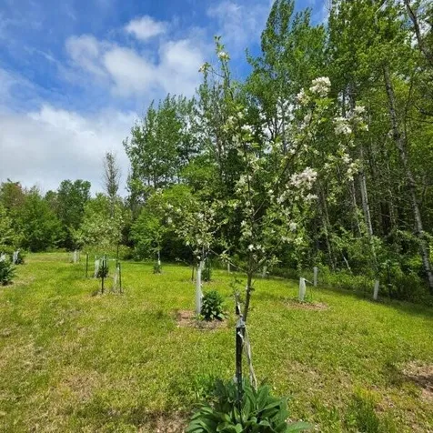 515 Dodlin Road Enfield ME 04493