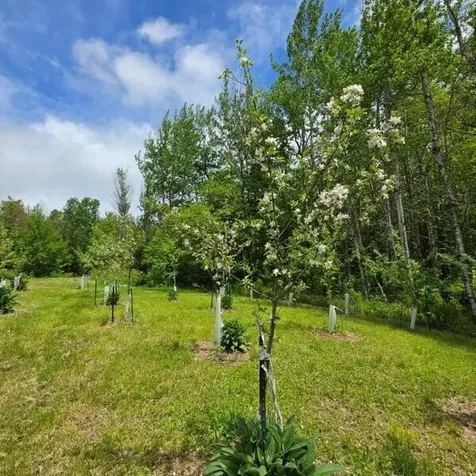 515 Dodlin Road Enfield ME 04493
