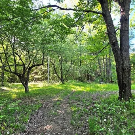 515 Dodlin Road Enfield ME 04493