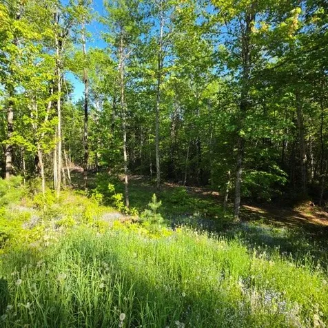 515 Dodlin Road Enfield ME 04493