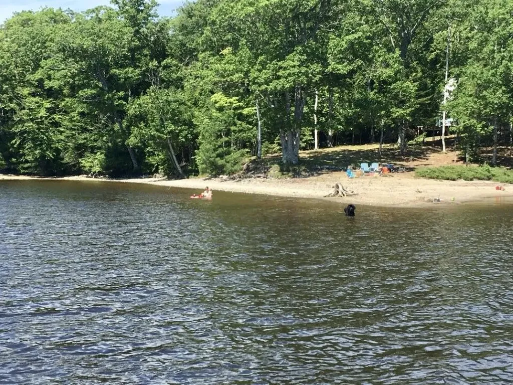 1 Eagle Island Mariaville ME 04605