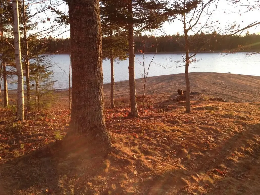 1 Eagle Island Mariaville ME 04605