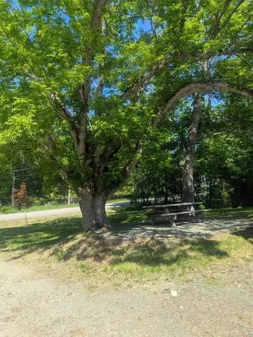 537 Millvale Road Bucksport ME 04416