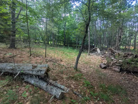 537 Millvale Road Bucksport ME 04416