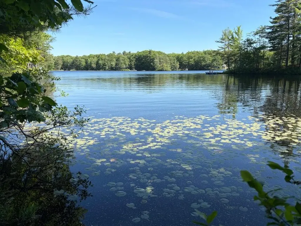 58 Wadleigh Pond Road Lyman ME 04002