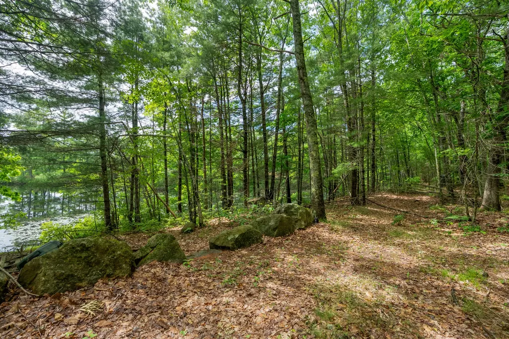 58 Wadleigh Pond Road Lyman ME 04002