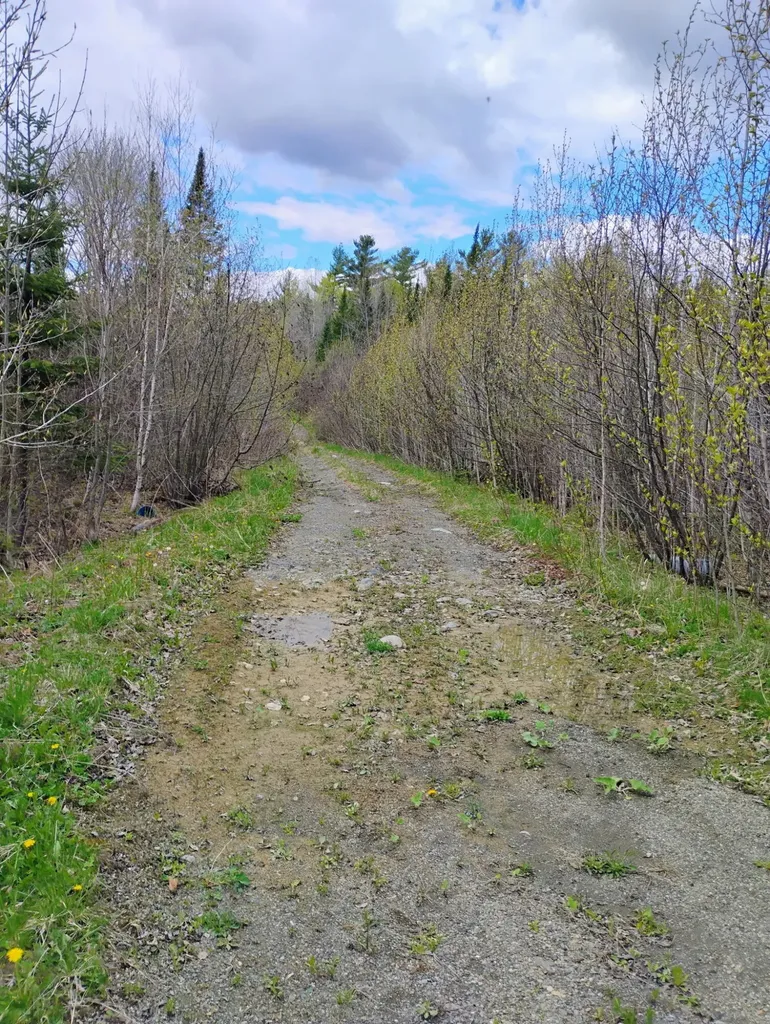 Silver Ridge Twp ME 04776