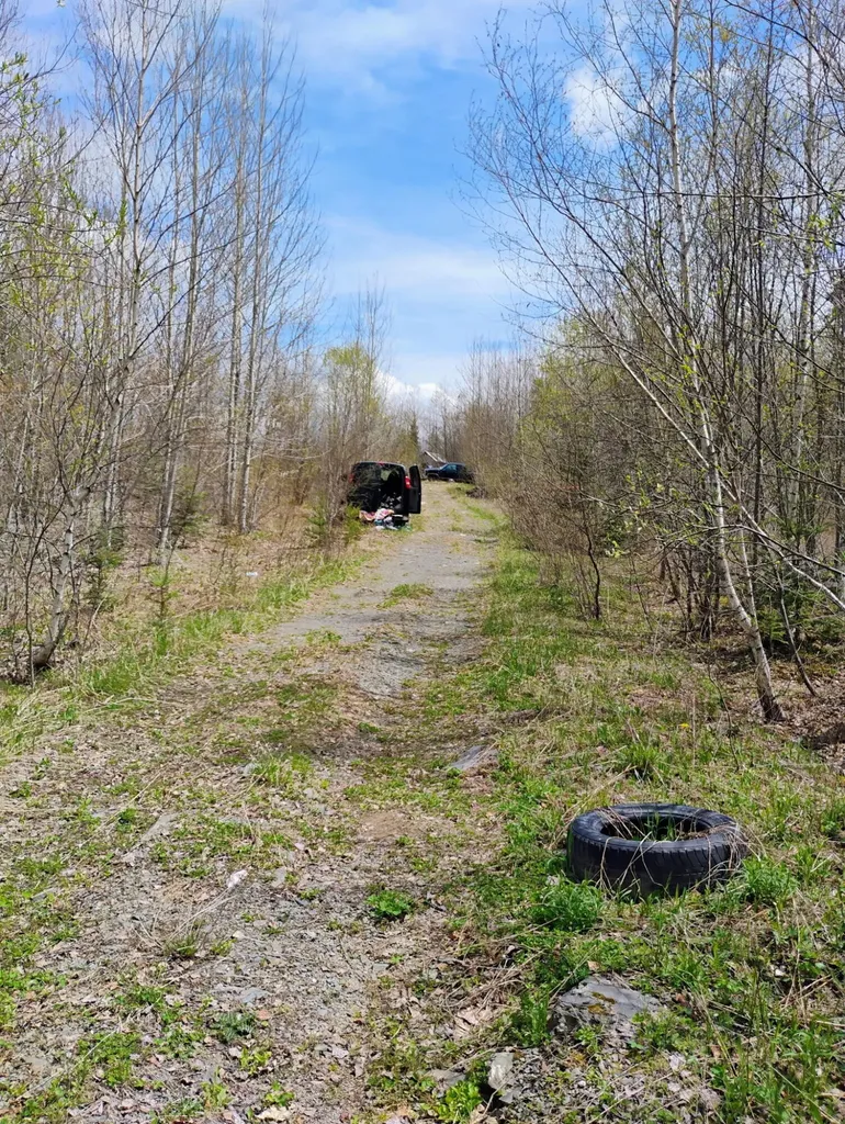 Silver Ridge Twp ME 04776