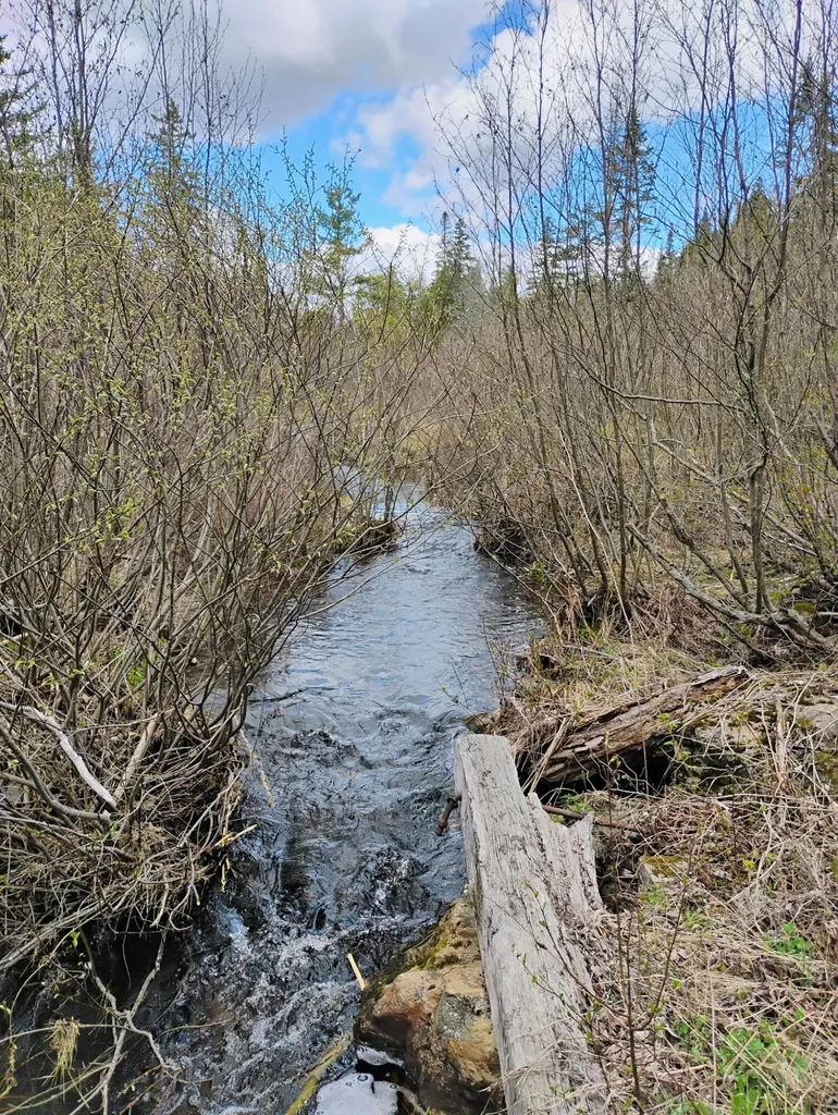Silver Ridge Twp ME 04776