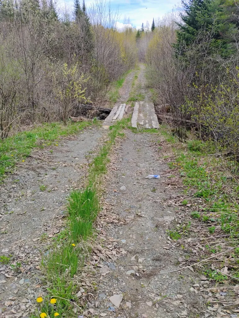 Silver Ridge Twp ME 04776