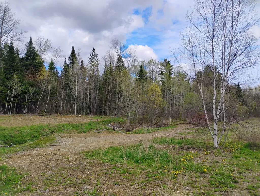 Silver Ridge Twp ME 04776