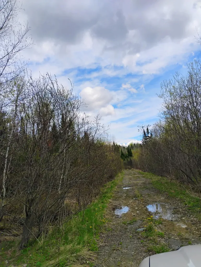 Silver Ridge Twp ME 04776