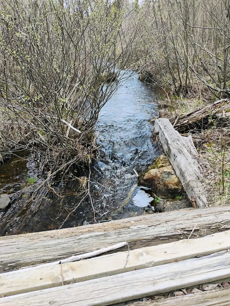 Silver Ridge Twp ME 04776
