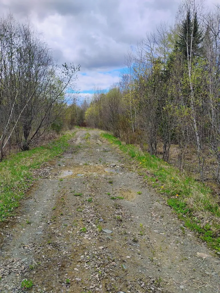 Silver Ridge Twp ME 04776