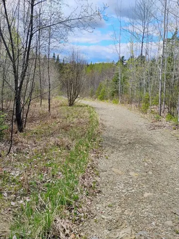 Silver Ridge Twp ME 04776