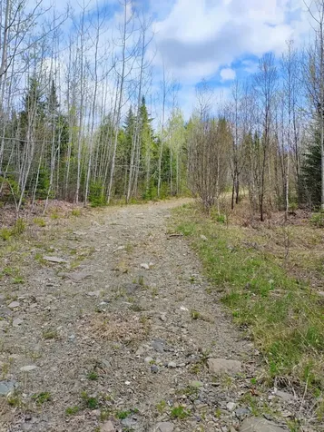 Silver Ridge Twp ME 04776