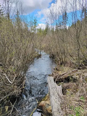Silver Ridge Twp ME 04776