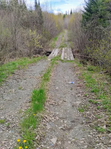 Silver Ridge Twp ME 04776