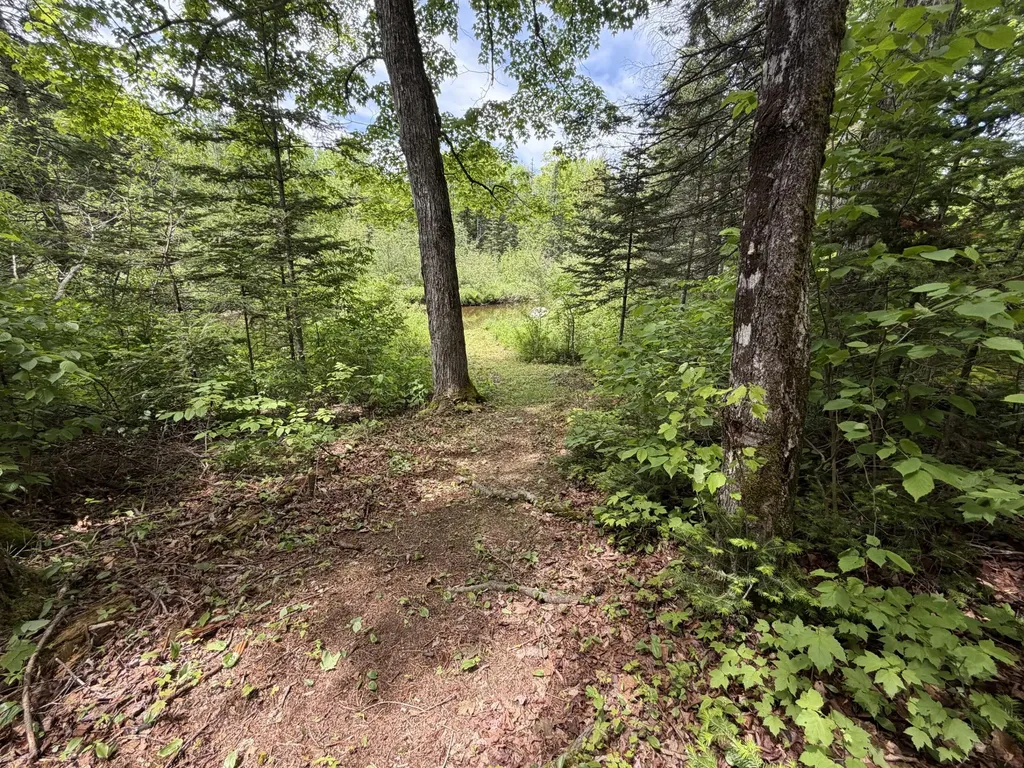 194 Meadow Road Hudson ME 04449