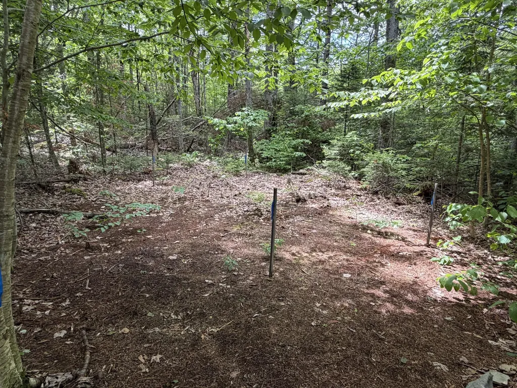 194 Meadow Road Hudson ME 04449